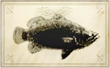 File:True barramundi.png