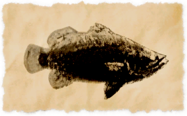 File:Yanxian barramundi.png