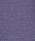 File:Lavender Purple.png