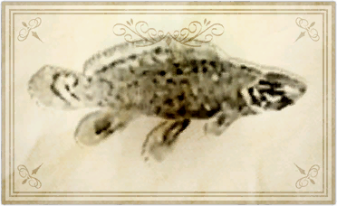 File:Swampsucker bowfin.png