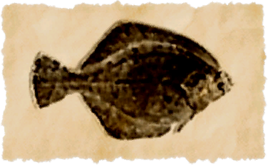 File:Queenly fan.png