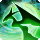 Summon Garuda