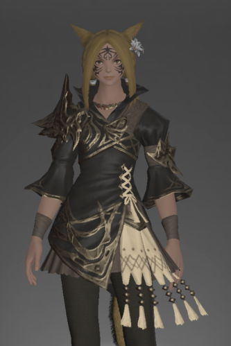 File:The Forgiven's Tabard of Aiming front.png