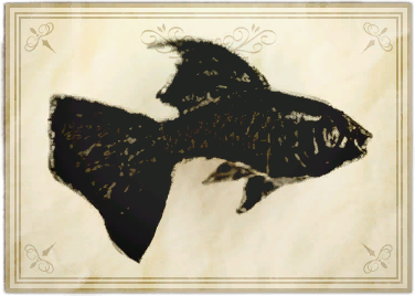 File:Moonlight guppy.png