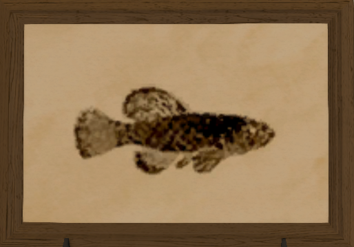 File:Azysfish print.png