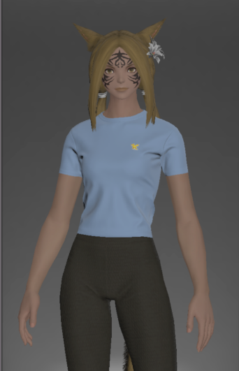 File:Form-fitting Chocobo Neotunic front.png