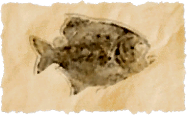 File:Bronze pipira.png