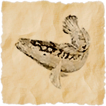 File:Giant snakehead.png