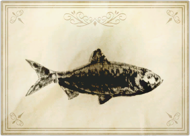 File:Dammroen herring.png