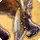 Gnoll card icon1.png