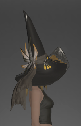 File:The Forgiven's Hat of Healing right side.png