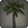Island palm icon1.png
