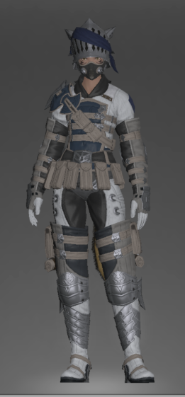 File:Royal Volunteer's fending attire.png