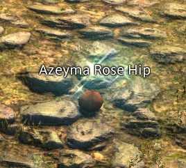 Azeyma Rose Hip.png