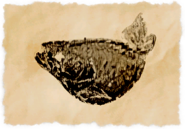 File:Fifty-summer cod.png