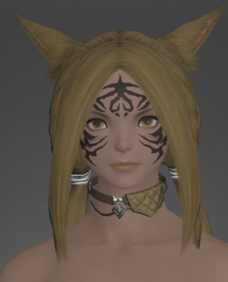 File:Nabaath Choker of Aiming front.png