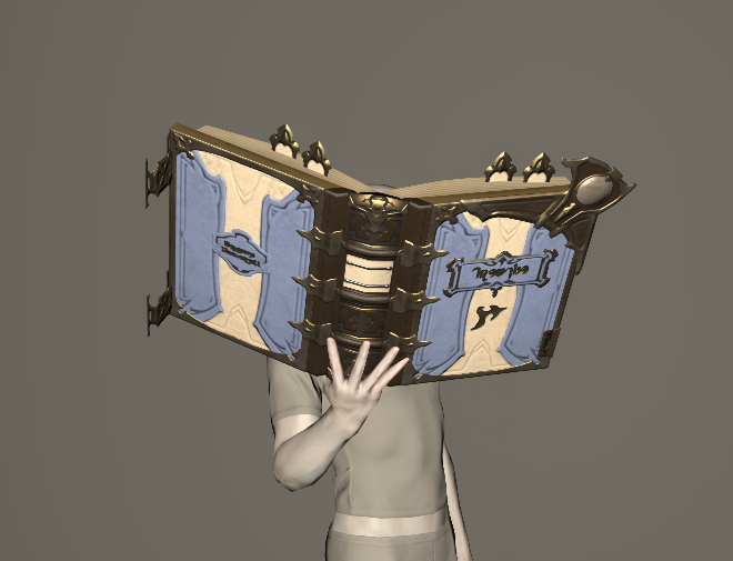 File:Wyvernskin Codex.jpeg