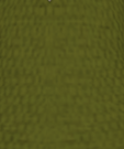 File:Moss Green.png