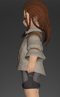 File:Cotton Shirt 2.png