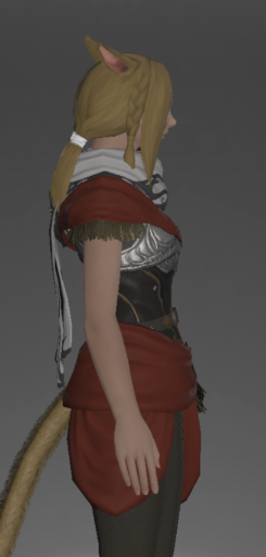 File:Diamond Armor of Scouting right side.png