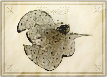 File:Downstream loach.png