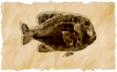 File:Longear sunfish.png