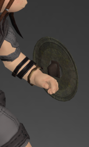 File:Notched Buckler 3.png