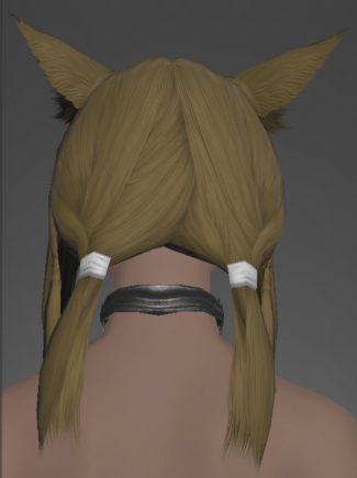 File:The Forgiven's Necklace of Fending rear.png