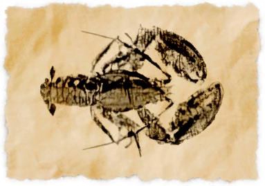 File:Stargilt lobster.png