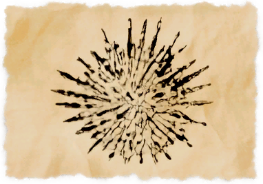 File:Spring urchin.png