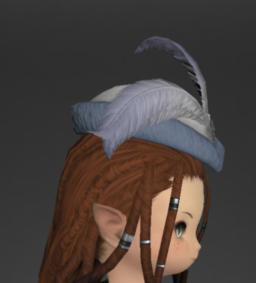 File:Darbar Hat of Healing 4.png