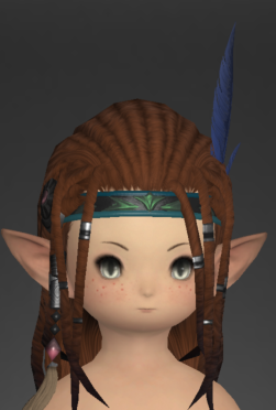 File:Br'aaxskin Headband of Healing.png