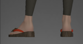Lady's Clogs rear.png