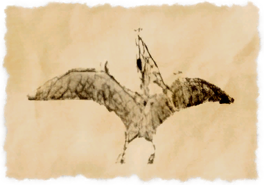 File:Pteranodon (fish).png