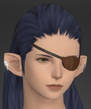 File:Eyepatch (Left) - Brown.jpg