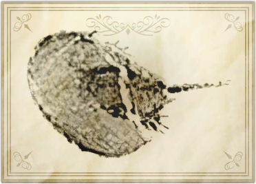 File:Meteor survivor.png