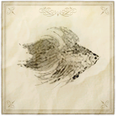 File:Ninja betta.png