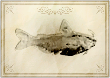 File:Starscale ephemeris.png