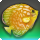 Python discus icon1.png