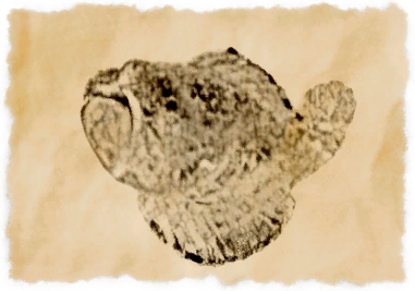 File:Demon stonefish.png