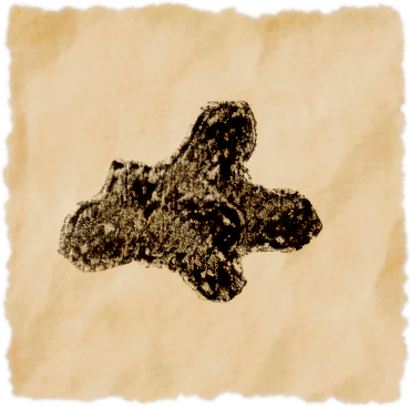 File:Heavens coral.png