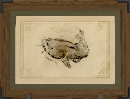 File:Watcher Catfish print.png