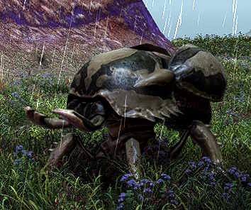 File:Wandering Starmite.jpg