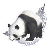 Mystic Panda image.png