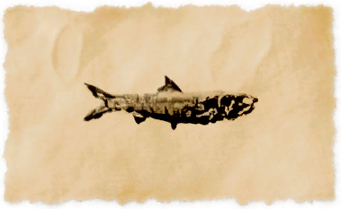 File:Grinning anchovy.png