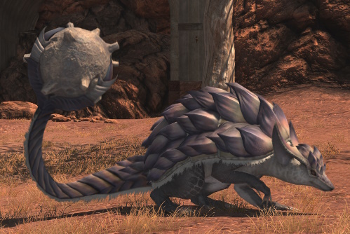 File:Long-tailed Armadillo.jpg