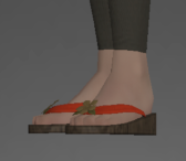 Lady's Clogs side.png