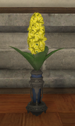 File:Yellow Hyacinths.png