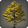 Autumnal ginkgo tree icon1.png