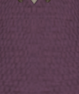 File:Plum Purple.png